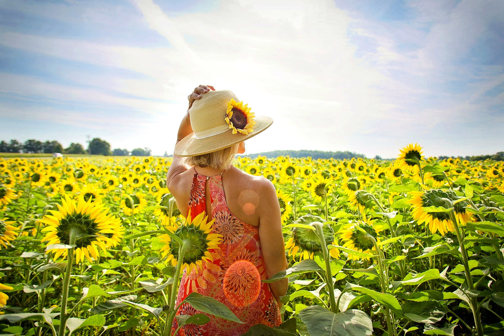 Bluekites Global Travels Domestic Tours