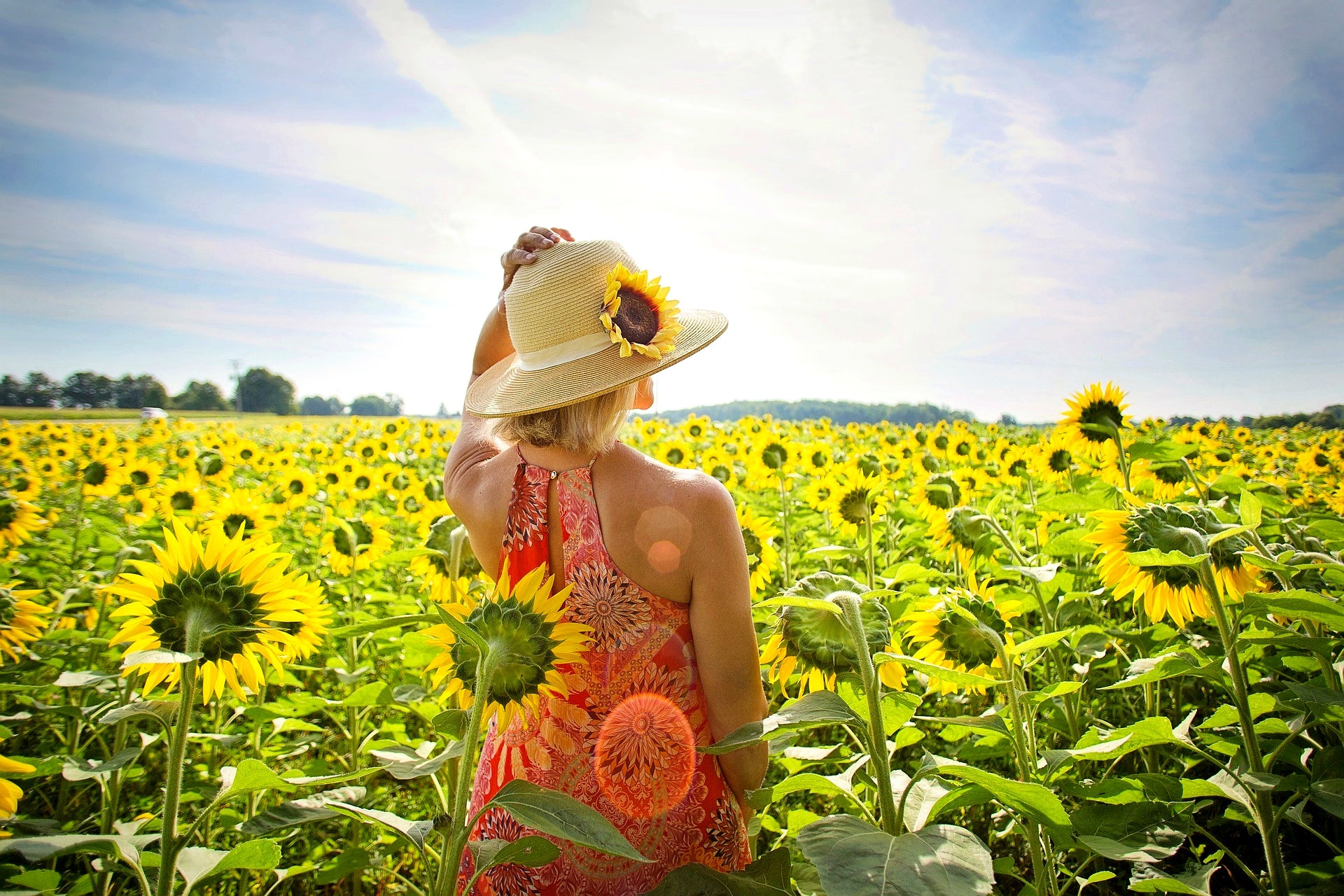 Bluekites Global Travels Domestic Tours