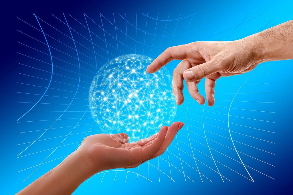 Bluekites Information Technology Services-specialized languages related services