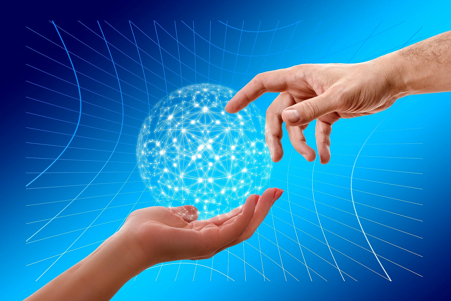 Bluekites Information Technology Services-specialized languages related services