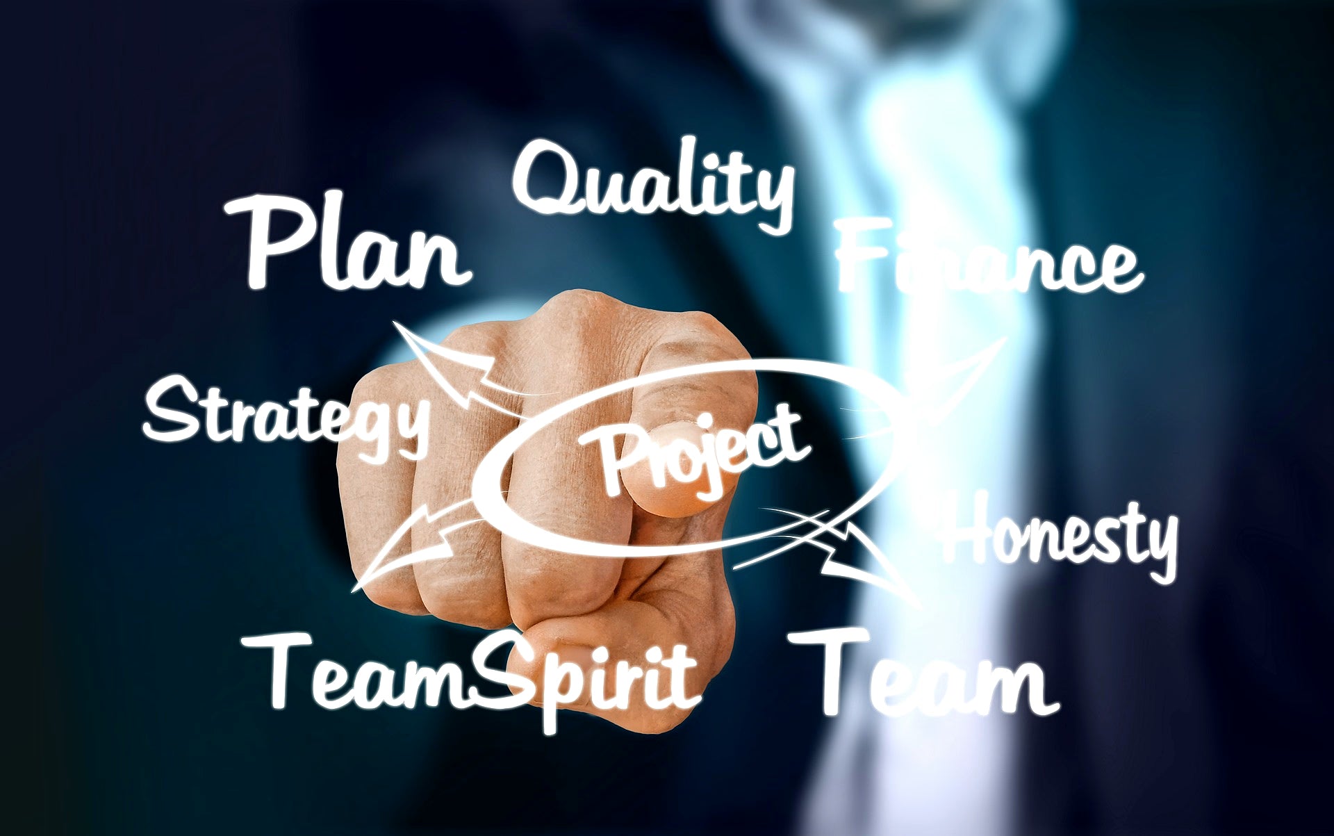 Bluekites Information Technology Services-Project Management related services