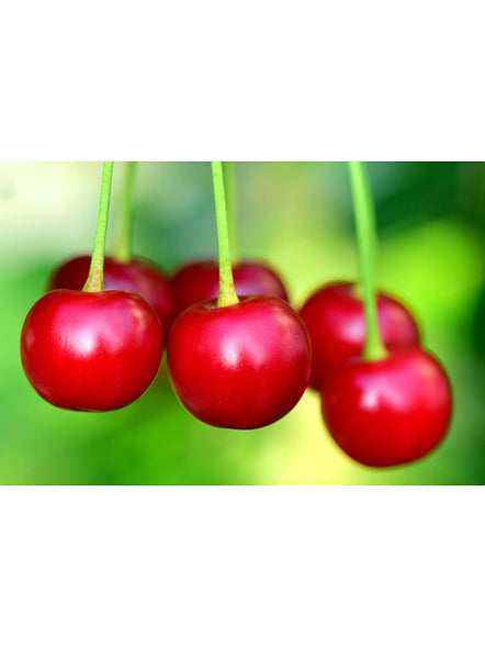 Bluekites Cherry 1kg
