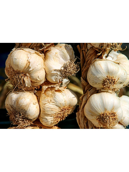 Bluekites Garlic 1kg