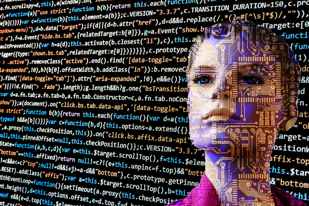 Bluekites Information Technology Services-Cyber Security services