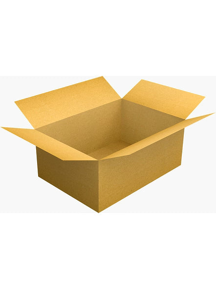 BLUEKITS SEABISCUIT 3 PLY CORRUGATED BOX