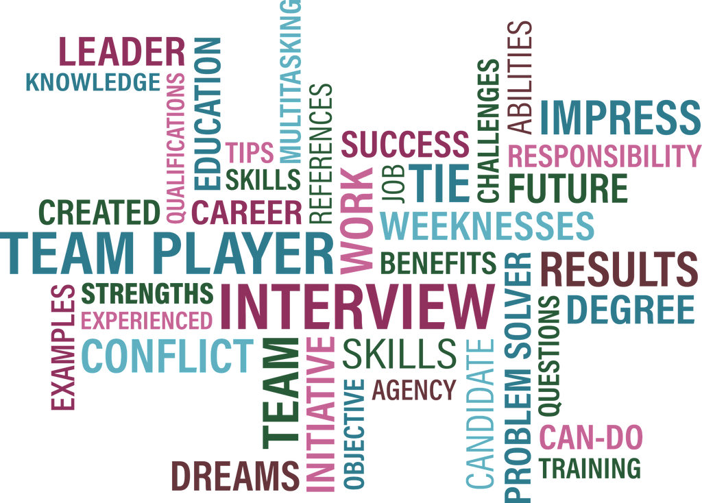 Bluekites Human Resource Services-Senior Management