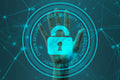 Bluekites Information Technology Services-Cyber Security services