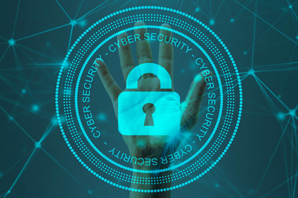Bluekites Information Technology Services-Cyber Security services