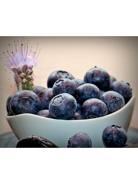 Bluekites Black berry 1kg